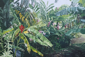 The Rarotongan Garden Paintings Gallery