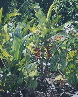 The Rarotongan Garden Paintings Gallery