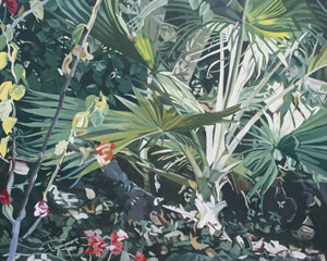 The Rarotongan Garden Paintings Gallery